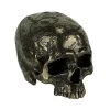 Veronese Design Bronze Finish Craniumography Old Treasure Map On Skull Statue -Cheap Altea Milano Shop Belk 156