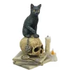 Veronese Design Lisa Parker Spirits of Salem Black Cat on Human Skull Statue 6.5 Inches High -Cheap Altea Milano Shop Belk 214